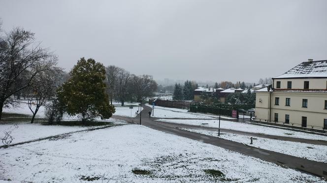 Pierwszy śnieg w tym sezonie! Lublin jest ukryty pod zimową pierzynką 