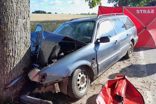 Śmiertelny wypadek pod Kartuzami! Kobieta i mężczyzna z volkswagena nie żyją [ZDJĘCIA]