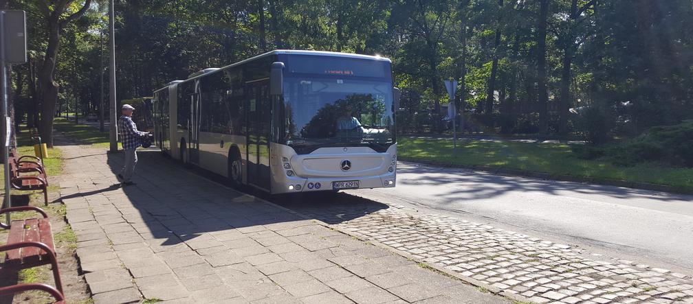 Pierwszy kurs autobusu przegubowego w Grudziądzu