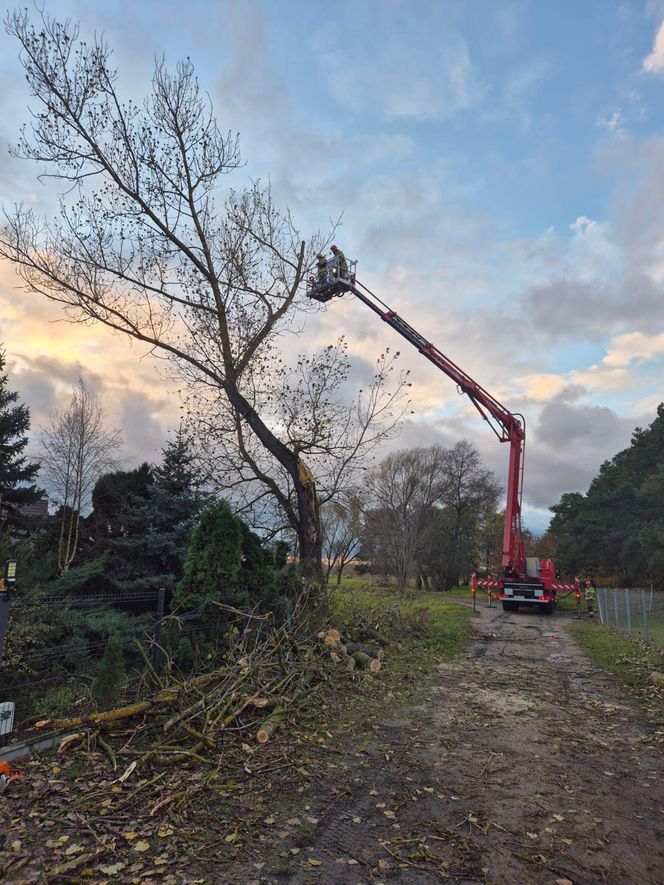 Silny wiatr i ulewy nad Łódzkiem