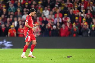 Courtois okiełznał szczura