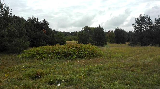 Ruszyły przygotowania do budowy nowego osiedla w Pile 