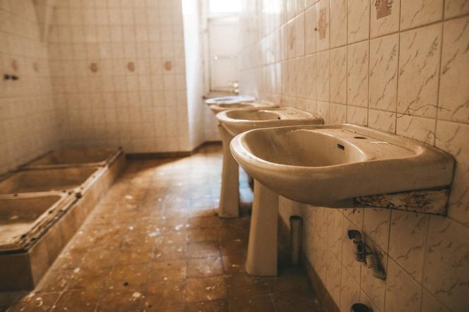Coś niesamowitego! Rzeźbione schody w opuszczonym pałacu robią ogromne wrażenie [ZDJĘCIA]
