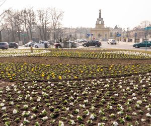 Utrudnienia w ruchu w Białymstoku. Tu 14.03-16.03 spodziewaj się korków w mieście