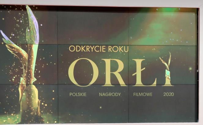 Orły