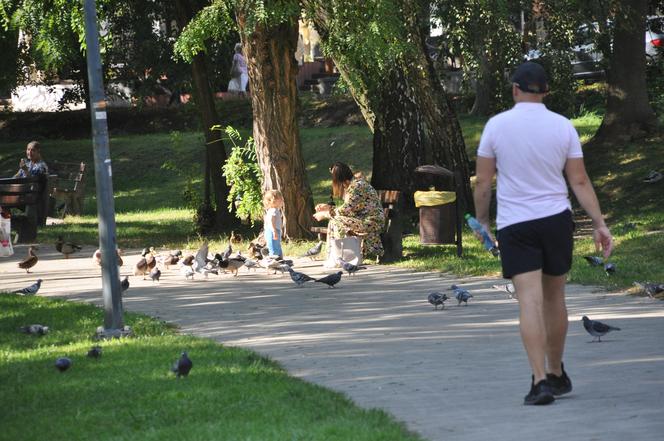 Złota polska jesień w Kielcach. Pogoda dopisuje spacerującym