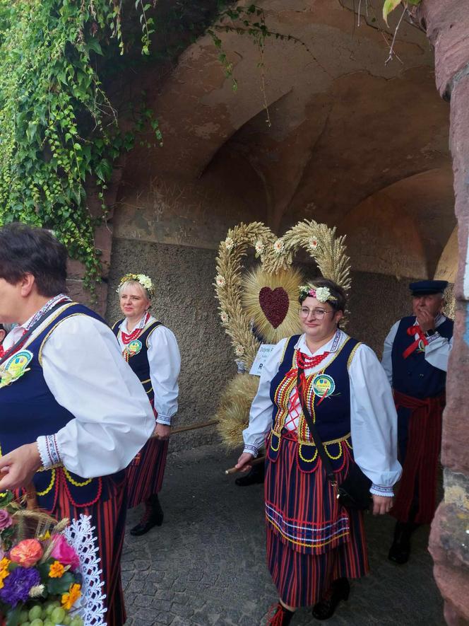 Dożynki 2024 w powiecie starachowickim. W Wąchocku dożynkowe wieńce, korowód i przysmaki