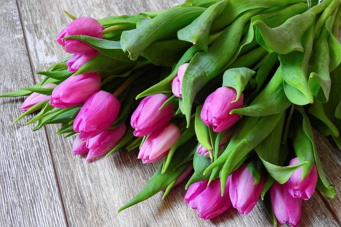 Tulipany