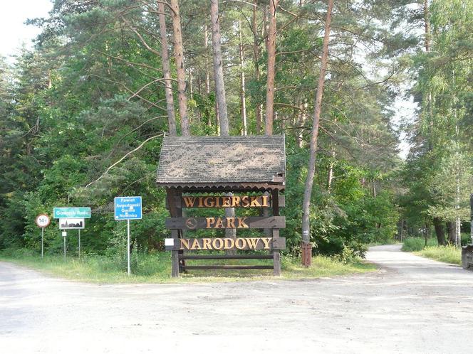 Wigierski Park Narodowy. To bezcenny obszar podlaskiej natury