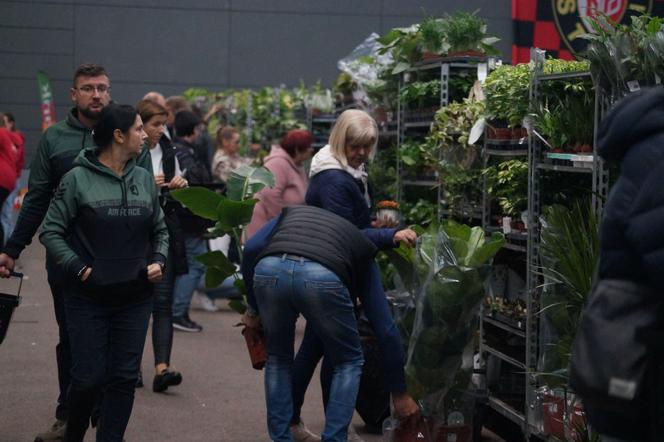 Bydgoski Festiwal Roślin 2023 w SISU Arenie [ZDJĘCIA]