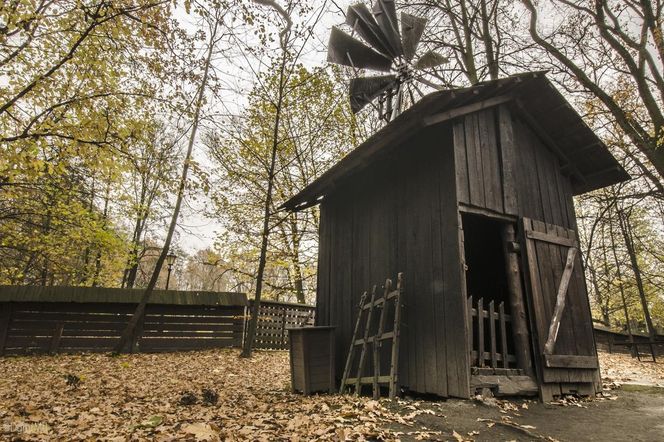 Skansen w Pszczynie obchodzi 50. urodziny. Jak powstał? 