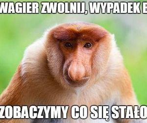 Oto najlepsze memy i życzenia na Dzień Szwagra. Ubawisz się do łez! 