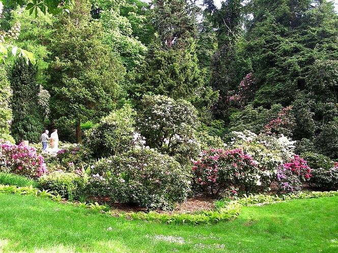 Arboretum Wojsławice - zdjęcia. Kiedy jechać?