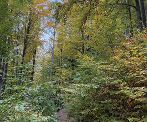 Szczyrk na jesiennych zdjęciach