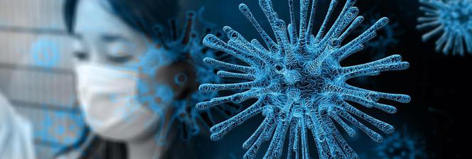 coronawirus