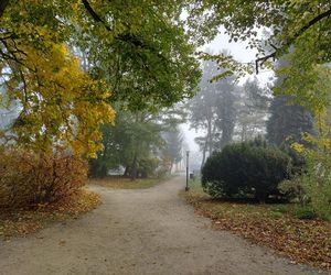 Zamojski Park jesienią