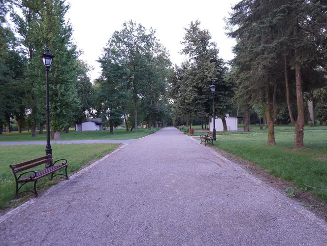 Park w gminie Mełgiew