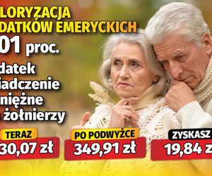 Waloryzacja 6,01 proc. dodatków emeryckich