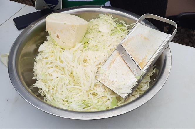 Dieta a odporność 