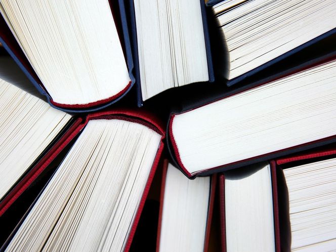 8. Szkoła Podstawowa im.kpt.Władyslawa Raginisa w Grądach Winiecko