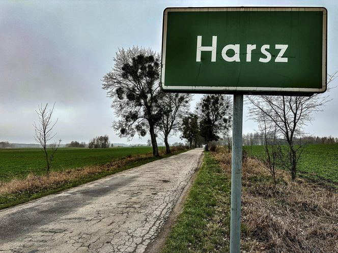 Pożar trzcinowiska nad jeziorem Dargin. Dwóch mężczyzn z zarzutami! Makabra na Mazurach