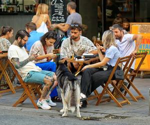 W Gdańsku zjesz z psem w wielu restauracjach