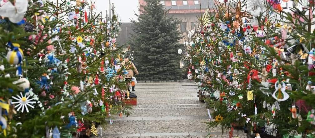 Świąteczny Rynek w Daleszycach