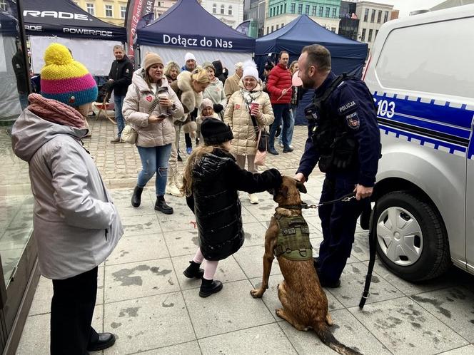 Ile bydgoszczanie zebrali na finale WOŚP? Mamy pierwsze wyniki liczenia w sztabie