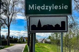 Mroczna tajemnica lasu pod Olsztynem. Bestialski mord konwojentów