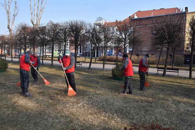 Wiosenne porządki na grudziądzkich trawnikach [SONDA]