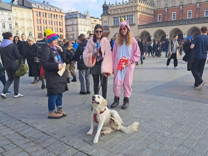 33. Finał WOŚP z grupą krakowskich Golden Retrieverów