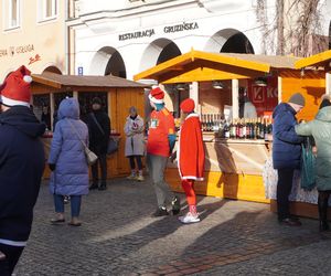 Bieg Mikołajów w Olsztynie. Około 400 osób pobiegło w charytatywnym celu [ZDJĘCIA]