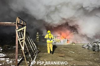 Pożar w Pieniężnie. Spłonęły wraki samochodów. Akcja strażaków trwała kilka godzin [ZDJĘCIA]