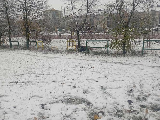 Pierwszy śnieg w Poznaniu w 2023 roku! Zobaczcie, jak wygląda Poznań w niedzielę 19 listopada