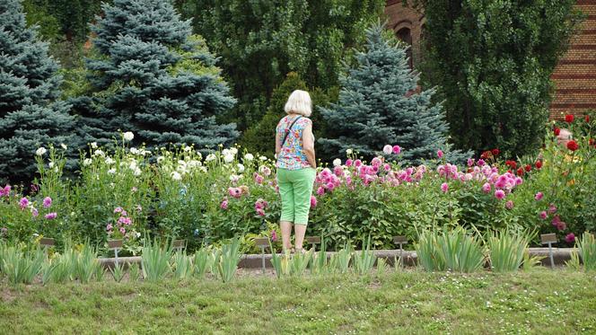 To jeden z najpiękniejszych ogrodów botanicznych w Polsce. Znajduje się na Dolnym Śląsku 