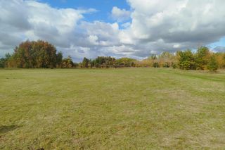 Ruszają konsultacje społeczne w sprawie utworzenia Parku Północnego na Michałowie 