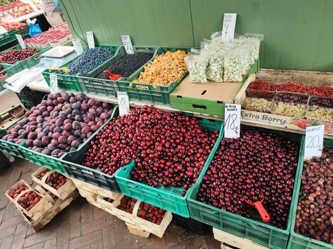 Najlepszy rynek w Łodzi według AI
