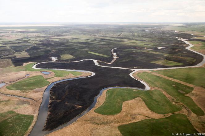 Prezydent nagrodził strażaków, którzy gasili Biebrzański Park Narodowy