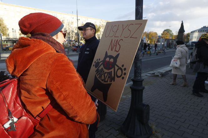 Wielki protest przez ratuszem. Wolontariusze walczą o życie kotów