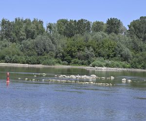 Niski stan wody w Wiśle