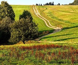 Z tych pagórków rozciąga się piękny widok na okolicę. Kujawsko-pomorskie to nie tylko nizina [GALERIA]