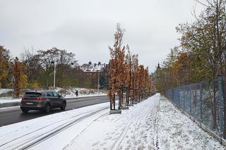 Wrocław pod śniegiem. Trudne warunki na drogach, korki, opóźnienia i awarie