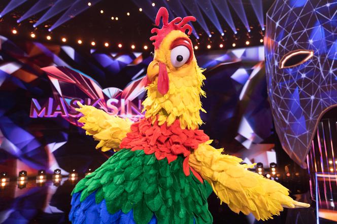Mask Singer. Zjawiskowe kostiumy uczestników 2. odcinka - Kogut