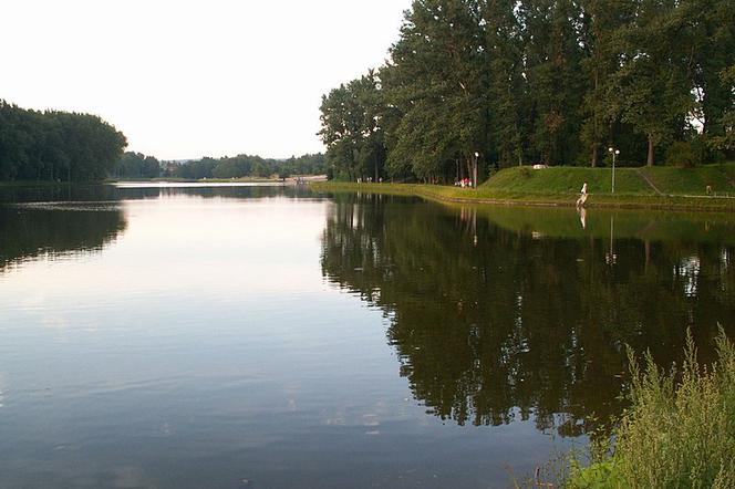 Kielce: Makabra nad zalewem! Martwy mężczyzna w wodzie!