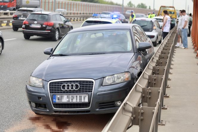 Warszawa sparaliżowana! Karambol po potrąceniu dzika. Kosmiczny korek aż do Marsa