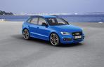 Audi SQ5 TDI plus
