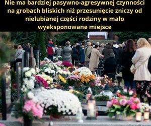 wszystkich-swietych-2024-memy-na-1-listopada