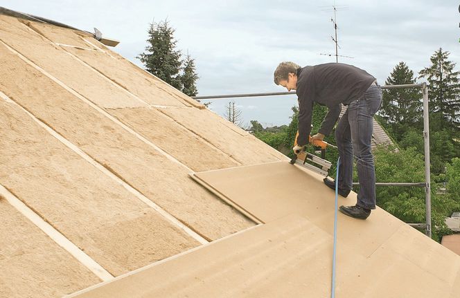 Nowe i ciekawe. Izolacje naturalne