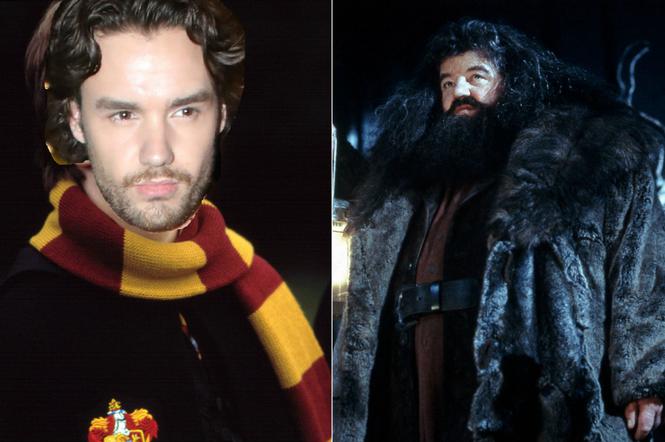 Liam Payne, Hagrid