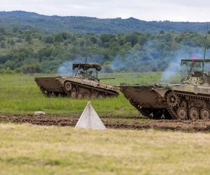 Słowackie BMP-2. Ćwiczenia Slovak Shield 2025